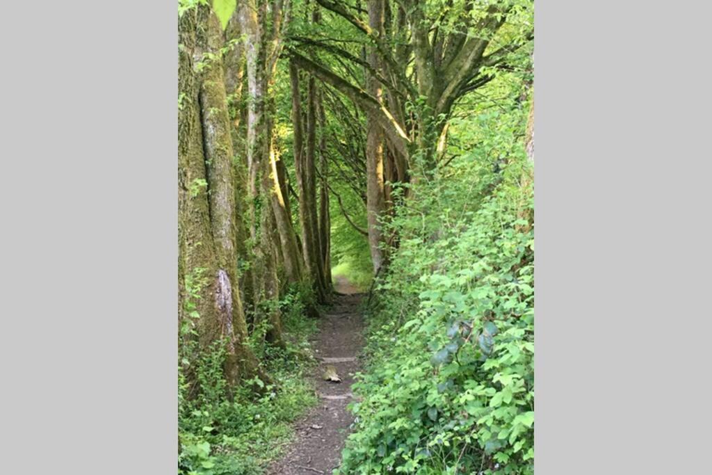 Gite Authentic Ardenne Vresse-sur-Semois ภายนอก รูปภาพ