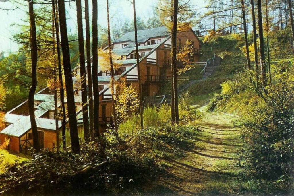 Gite Authentic Ardenne Vresse-sur-Semois ภายนอก รูปภาพ